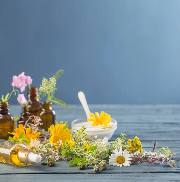 Cosméticos Naturais Ingredientes Base Plantas Fundo Azul — Fotografia de Stock