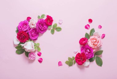 Pembe kağıtta güzel güller