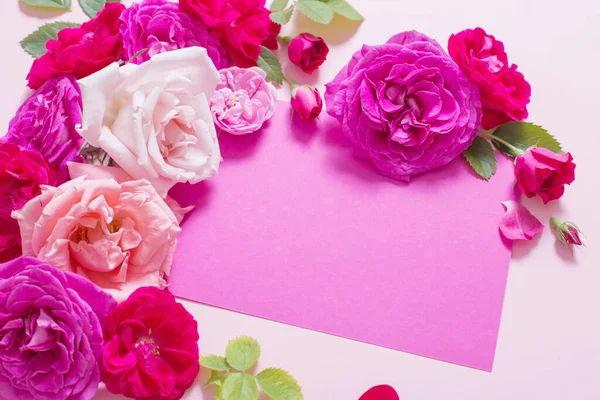 Beautiful Roses Pink Paper Background — Stock Photo, Image