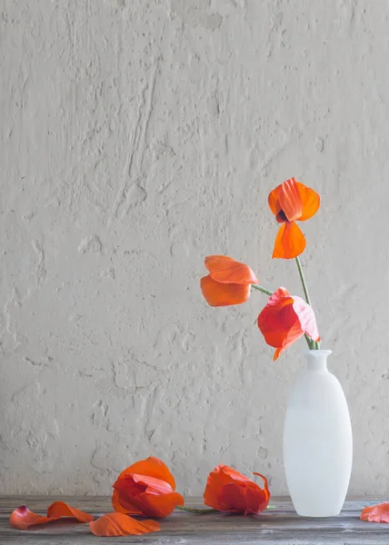 Amapolas Rojas Jarrón Blanco Sobre Fondo Blanco — Foto de Stock