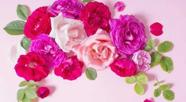 Rosas Bonitas Sobre Fundo Papel Rosa — Fotografia de Stock
