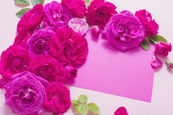 ピンクの紙の背景に美しいバラ — ストック写真