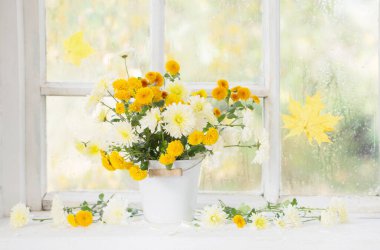 Sonbaharda cam kenarında vazoda kasımpatılar