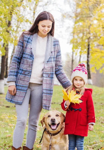 快乐的家庭 在阳光明媚的秋天公园养着狗 — 图库照片