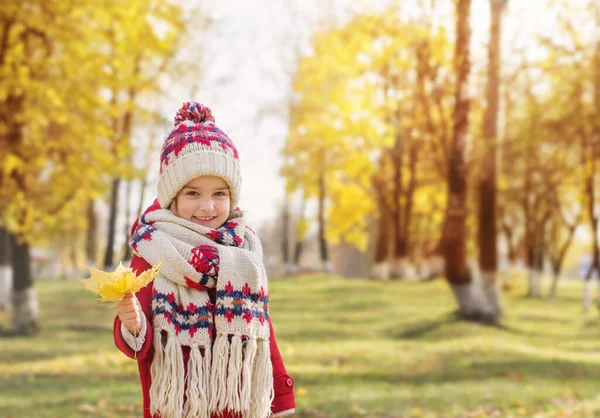 Gelukkig Mooi Meisje Herfst Park — Stockfoto