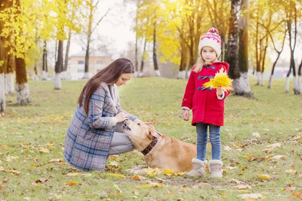 快乐的家庭 在阳光明媚的秋天公园养着狗 — 图库照片