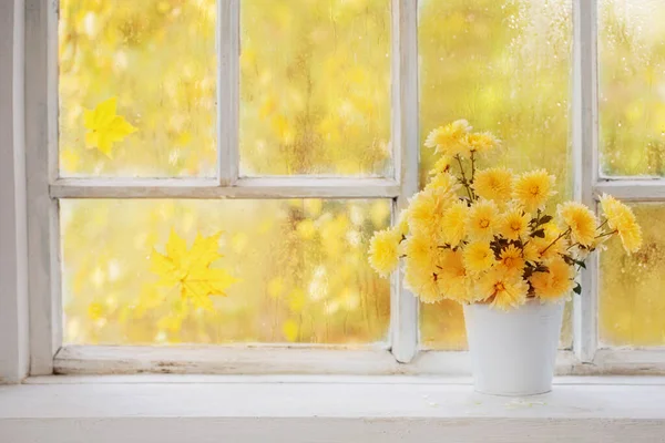Chrysanthemen Herbst Der Vase Auf Der Fensterbank — Stockfoto