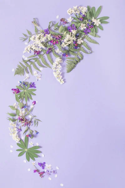 Frühlingsblumen Auf Violettem Papier Hintergrund — Stockfoto