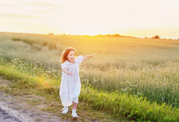 Schönes Kleines Mädchen Auf Hintergrundfeld Bei Sonnenuntergang — Stockfoto