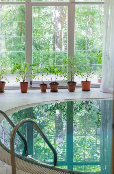 Piscina Con Gran Ventana Panorámica Con Vistas Bosque Verano —  Fotos de Stock