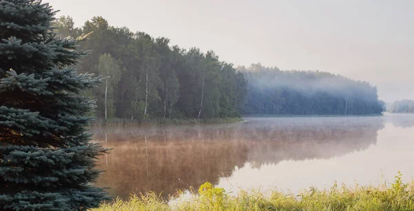 Bellissimo Lago Estivo Mattino — Foto Stock