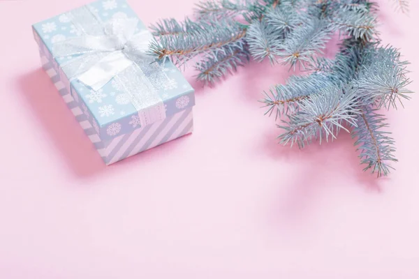 ピンクの紙の背景にクリスマスツリーの枝 — ストック写真