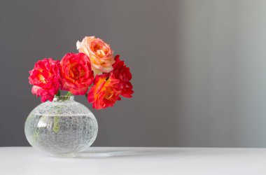 Gri arkaplanda cam vazoda güller