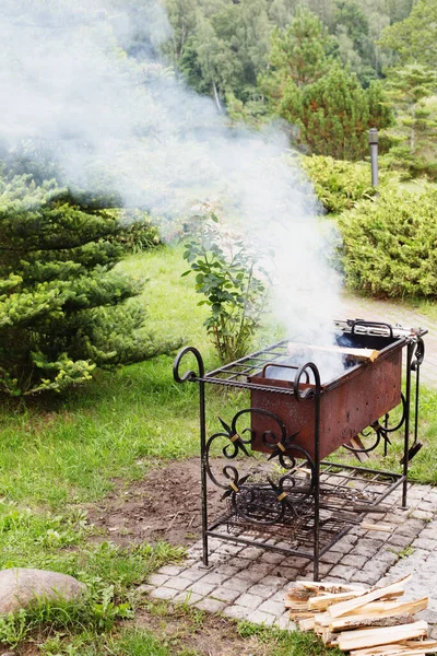 Grill Ogrodzie Lecie — Zdjęcie stockowe