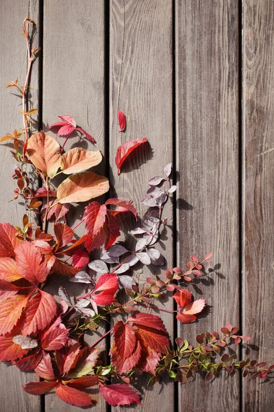 Red Autumn Leaves Old Wooden Background — Stock Photo, Image