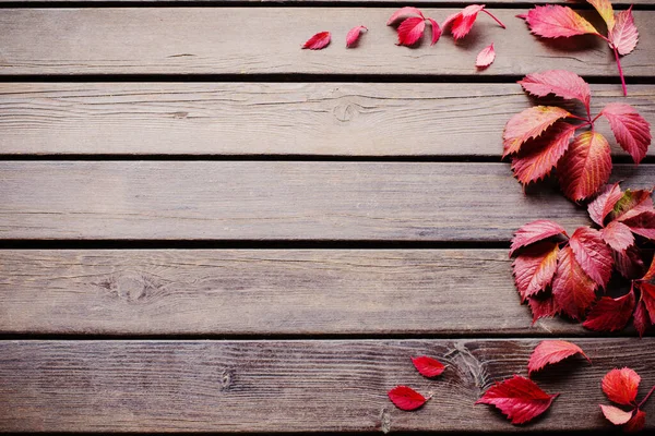 Hojas Rojas Otoño Sobre Fondo Madera Viejo — Foto de Stock