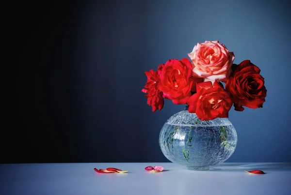Roses Rouges Dans Vase Verre Sur Fond Bleu Foncé — Photo