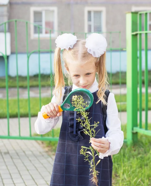 小さな女子高生が虫眼鏡で植物を調べ — ストック写真