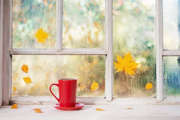 Tasse Thé Sur Rebord Fenêtre Bois Blanc Automne — Photo