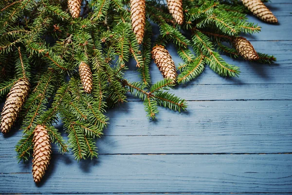 Fir Branches Cones Blue Wooden Background — Stock Photo, Image