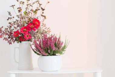 Çiçek saksısında heather ve beyaz arka planda vazoda buket