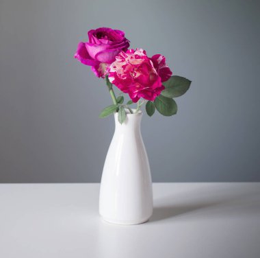 Gri arkaplanda beyaz vazoda iki gül 