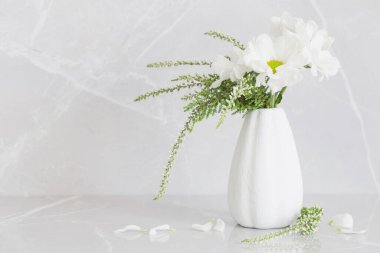 Vazodaki beyaz kasımpatılar gri mermer arka planda