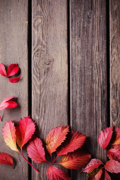 Красные Осенние Листья Старом Деревянном Фоне — стоковое фото