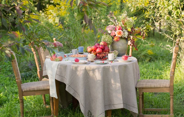 Torta Mele Sulla Tavola Apparecchiata Giardino Nella Giornata Sole — Foto Stock