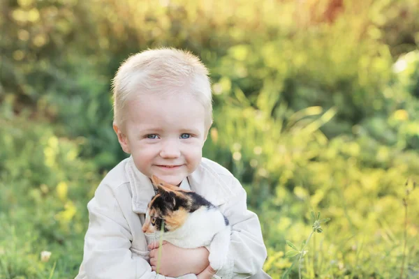 Little Boy Holding Kitten Sunny Summer Day — Stock Photo, Image