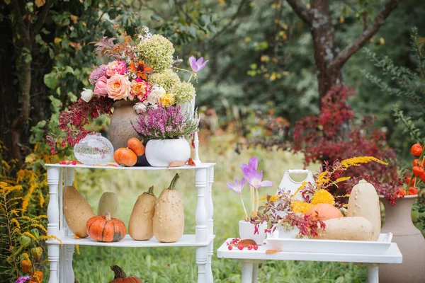 Outono Decoração Natural Com Abóboras Jardim — Fotografia de Stock