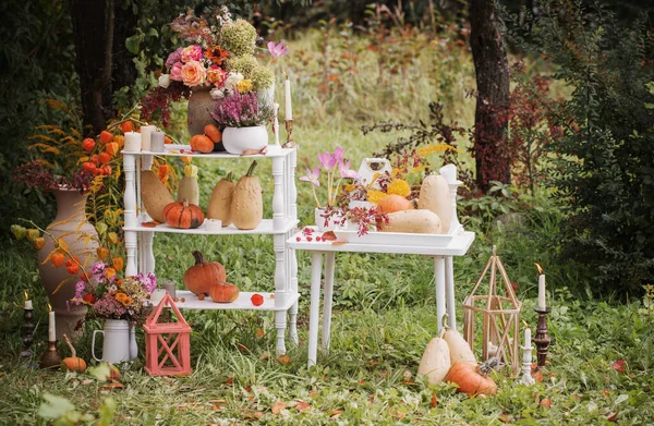 Bela Decoração Outono Com Flores Bagas Abóboras Jardim — Fotografia de Stock