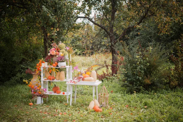 Bela Decoração Outono Com Flores Bagas Abóboras Jardim — Fotografia de Stock