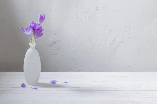 Crocus Vaso Vidro Fundo Branco — Fotografia de Stock