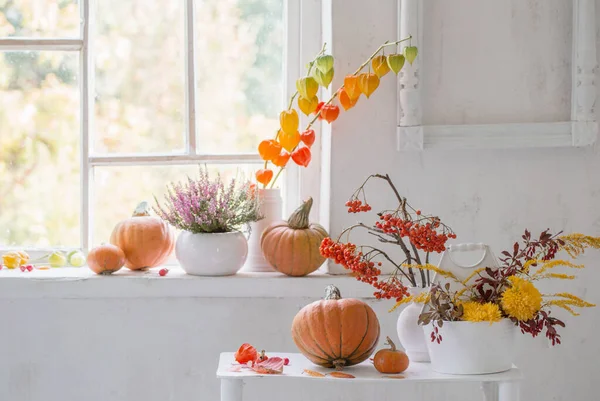 Autunno Arredamento Naturale Con Zucche Bacche Sorbo Sfondo Bianco — Foto Stock