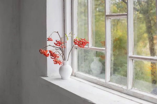 Bayas Rowan Jarrón Blanco Viejo Alféizar Blanco Ventana — Foto de Stock