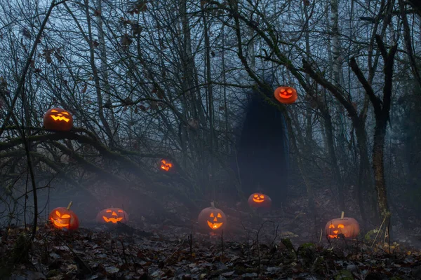 Geist Mit Halloween Kürbissen Nachtwald — Stockfoto