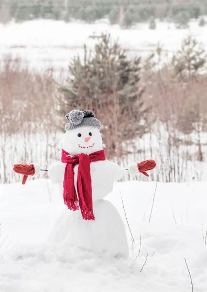 Boneco Neve Cachecol Vermelho Floresta — Fotografia de Stock