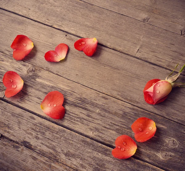 Τριαντάφυλλο και πέταλο στη μορφή καρδιά σε ξύλινα φόντο — Φωτογραφία Αρχείου
