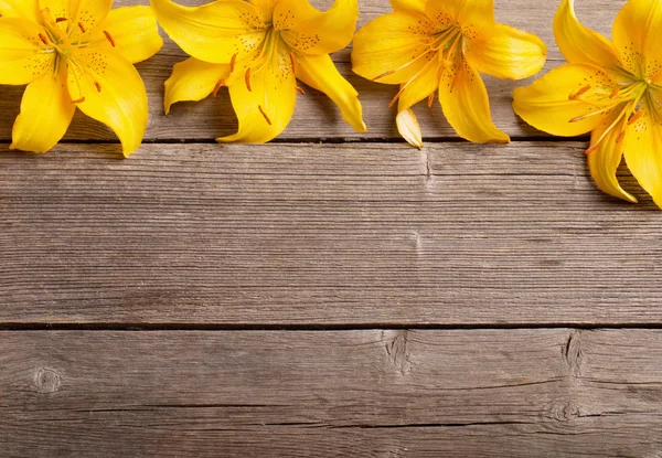 Žlutá lilie na dřevěné pozadí — Stock fotografie