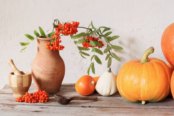 Zucca con bacche su tavolo di legno — Foto Stock