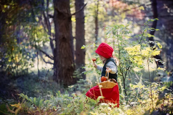 Mały czerwony kapturek w lesie — Zdjęcie stockowe
