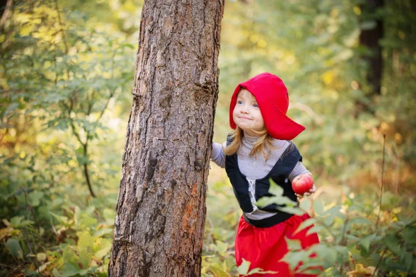 在树林里的小红帽 — 图库照片