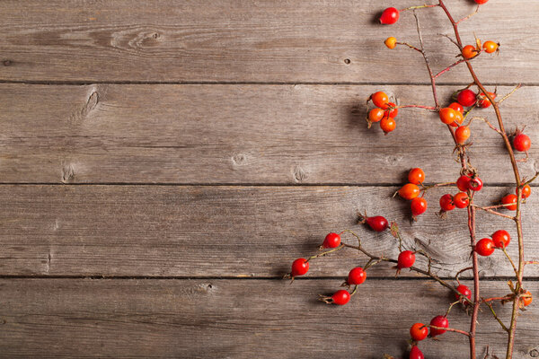 Dogrose  over Wooden Background