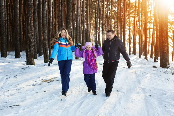 Lycklig familj i vinterskogen — Stockfoto