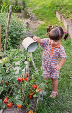 küçük kız bahçede sebze sulama