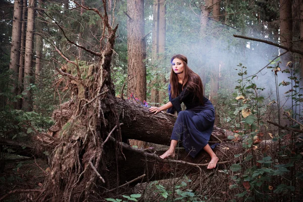 Όμορφη μάγισσα που κάθεται σε ένα κορμό δέντρου στο δάσος — Φωτογραφία Αρχείου