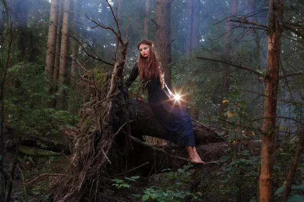 ormandaki bir ağaç gövdesi üzerinde oturan güzel cadı