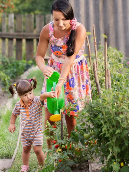 Mère et bébé arrosant les légumes dans le jardin — Photo