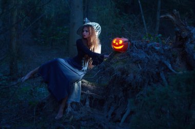 sihirli orman bal kabağı ile güzel cadı